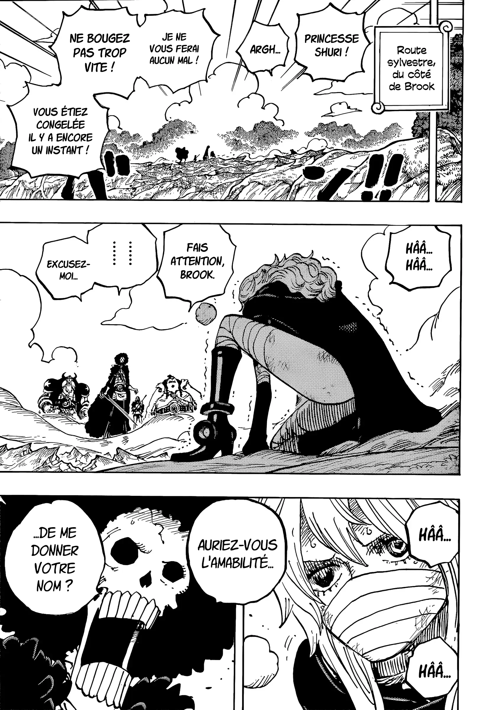       One   Piece Faiblesse Page 6